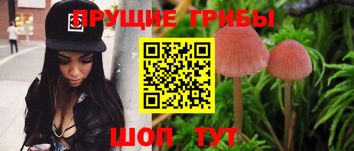 Галлюциногенные грибы ЛСД  Вход с VPN  Карабулак 